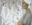 Deux Mondes // 2011 // 260 x 200 cm // Acryl/Leinwand